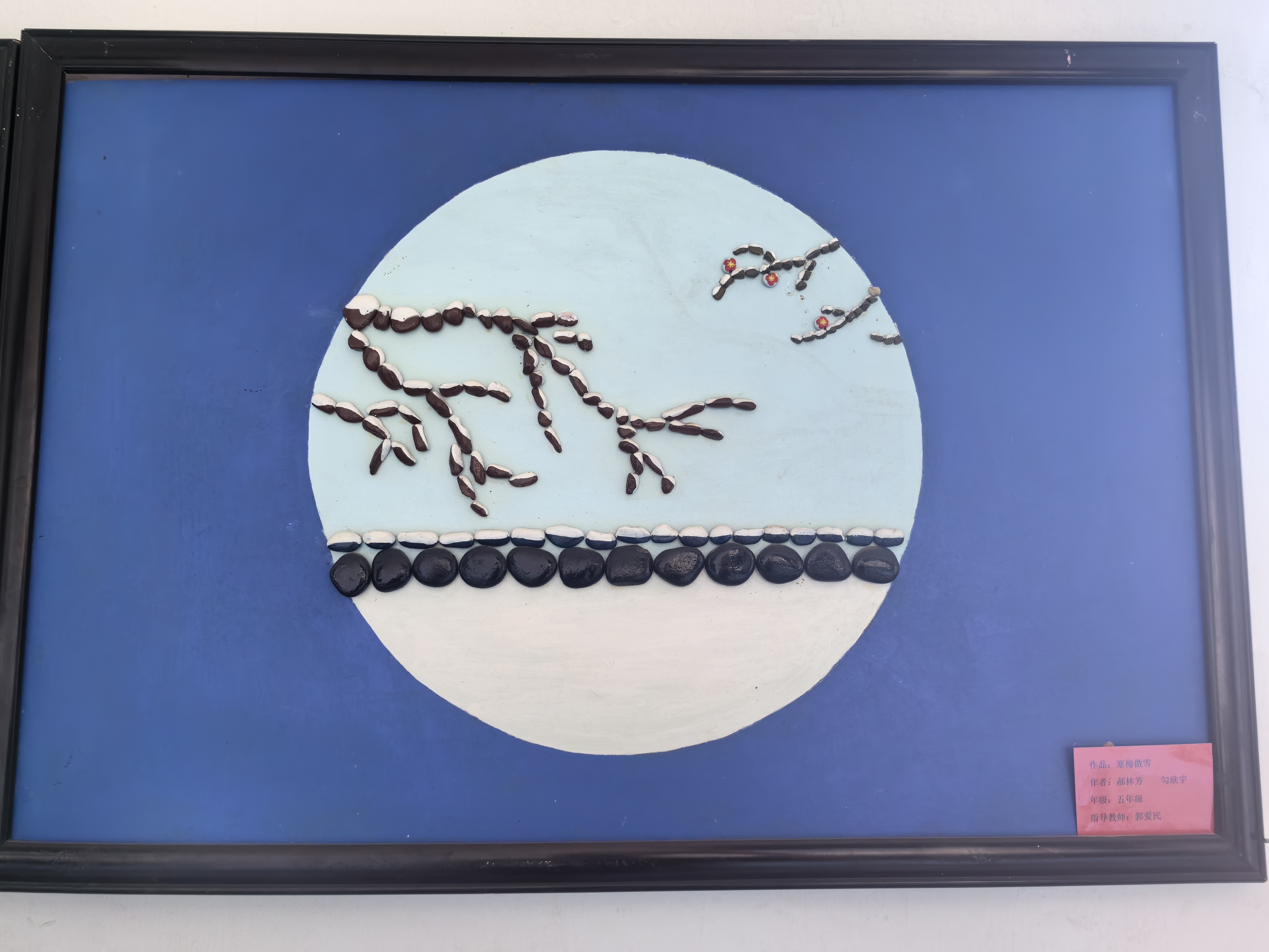 IMG_20240516_154147 IMG_20240516_154147